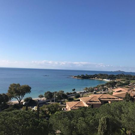 Superbe Appartement T2 Vue Magnifique Sanguinaires A 50M De La Plage Аяччо Экстерьер фото